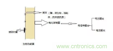 仿生傳感器的定義、原理、分類及應(yīng)用