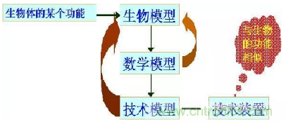 仿生傳感器的定義、原理、分類及應(yīng)用